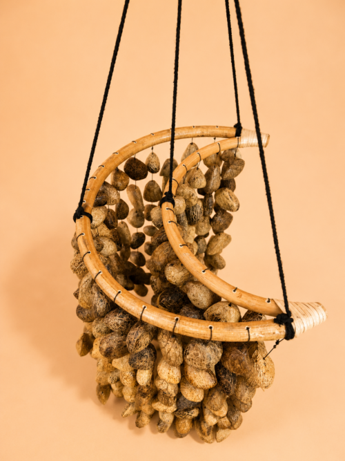 Extra Large Pangi Seed Wind Chime with Bamboo Moon | Handcrafted in Bali