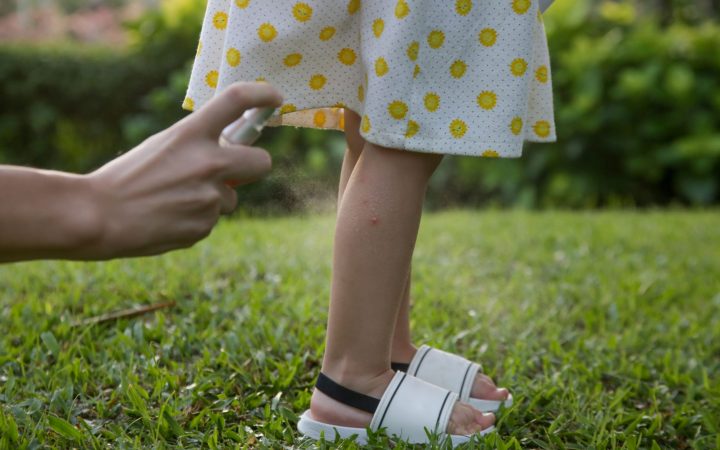 Attunergy Natural Bug Spray
